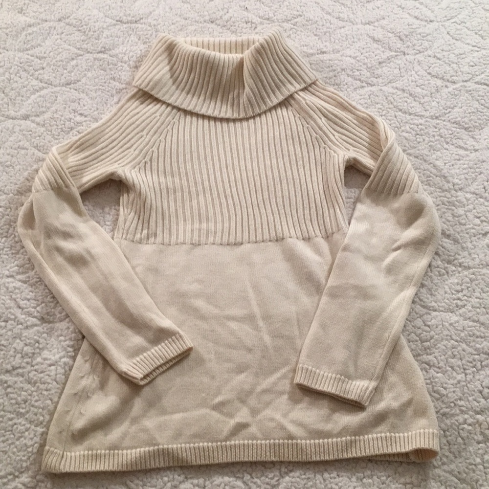 Anne Taylor LOFT Turtleneck Sweater